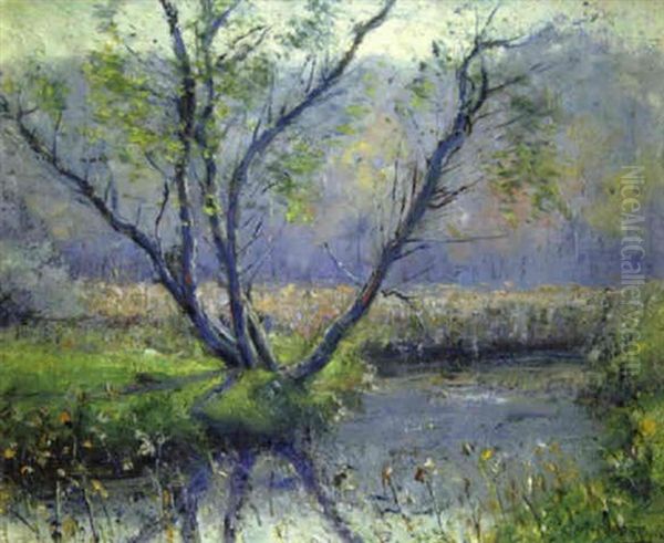 Spring Landscape With Stream Oil Painting by Alexis Fournier