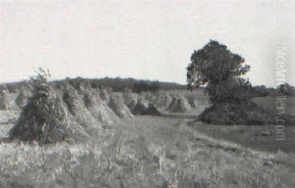The Pumpkin Field Oil Painting by Alexis Fournier