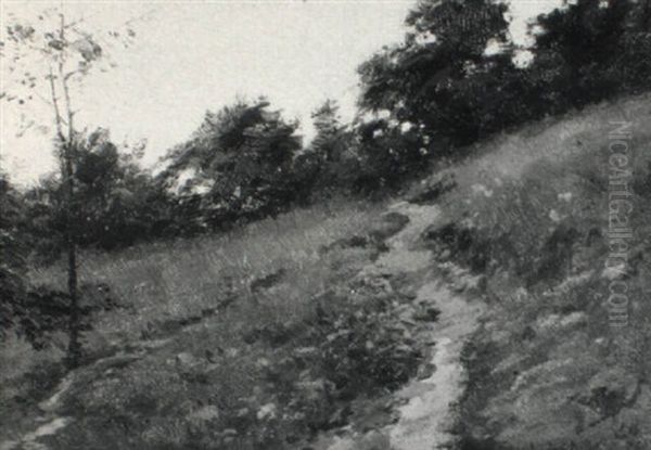 Path On A Grassy Hillside Oil Painting by Alexis Fournier