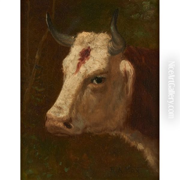 Head Of A Bull Oil Painting by Robert Atkinson Fox
