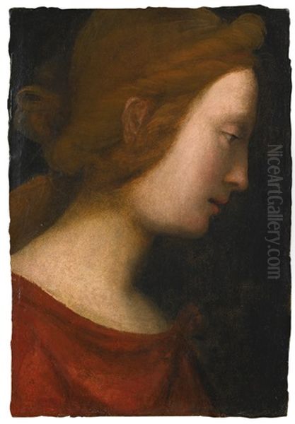 Head Of A Female Saint Seen In Profile Oil Painting by Fra Bartolommeo della Porta