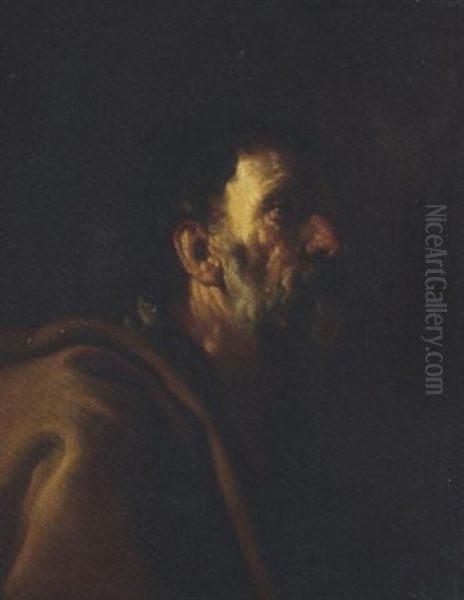 Head Of A Bearded Man (saint Peter?) Oil Painting by Francesco Francanzano