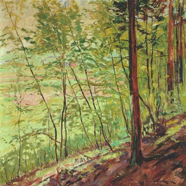 Bewaldeter Landschaft (solling) Oil Painting by Philipp Franck