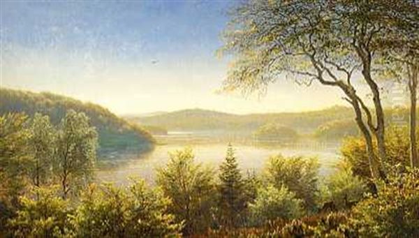 Udsigt Over Silkeborgsoerne Oil Painting by Andreas Fritz