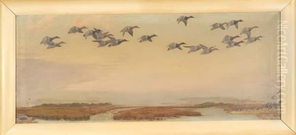 Ducks Over Marshlands Oil Painting by Louis Agassiz Fuertes