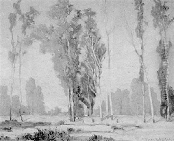 Eucalyptus Trees In A California Landscape Oil Painting by Fitch Burt Fulton