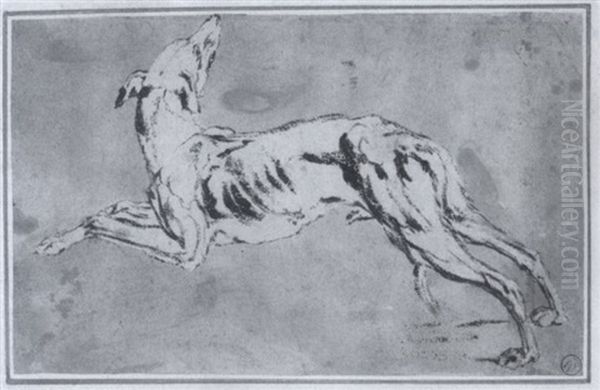 Windhund, Nach Links Springend Oil Painting by Jan Fyt