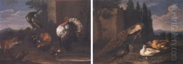 Paon, Poules Et Perdrix Dans Un Poulailler Oil Painting by Jan Fyt