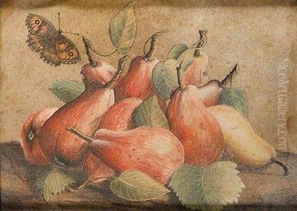 Pears With A Butterfly Hovering Nearby Oil Painting by Giovanna Garzoni
