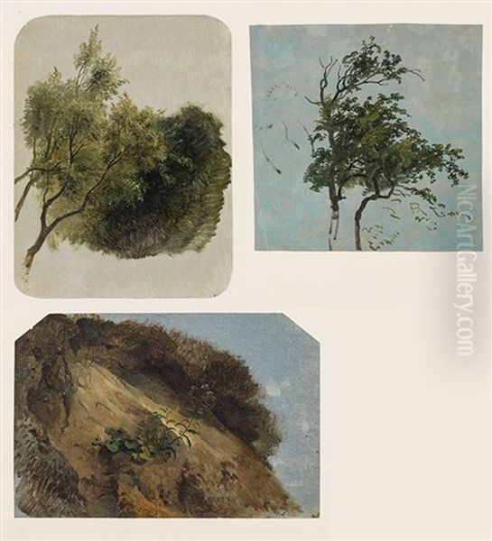 Mixed Lot 3 Studies: Studies Of A Tree, A Branch And A Rock Oil Painting by Friedrich Gauermann