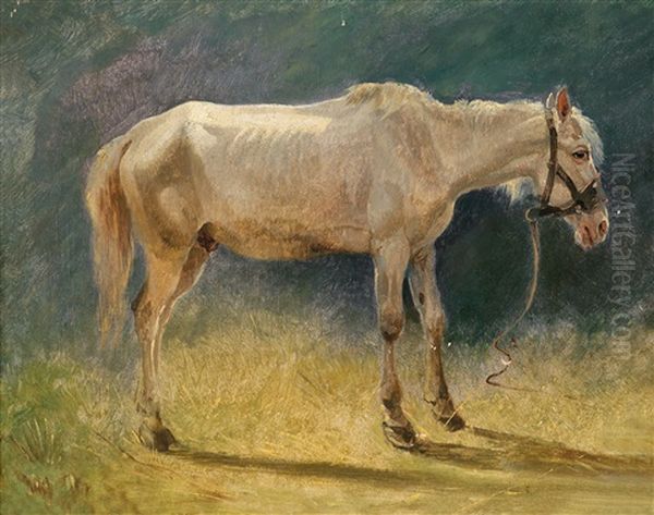 Ein Schimmel, Naturstudie Oil Painting by Friedrich Gauermann