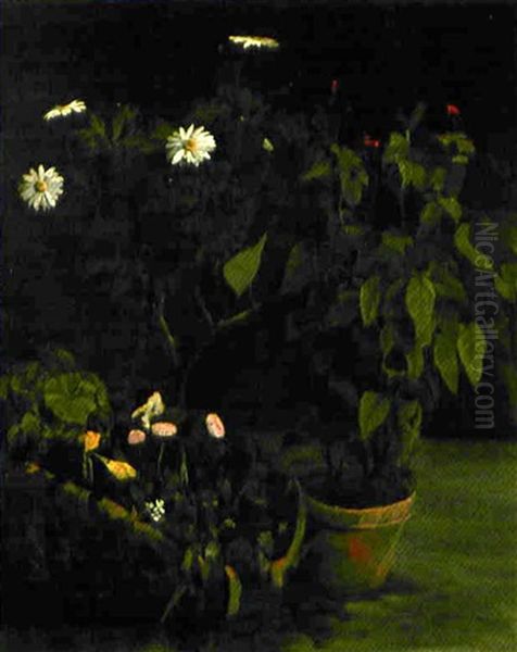 Plante En Pot, Marguerites Et Panier De Fleurs Oil Painting by Armand Gautier