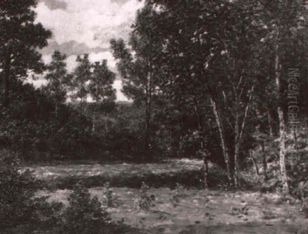 Birkenwaldchen Oil Painting by Armand Gautier