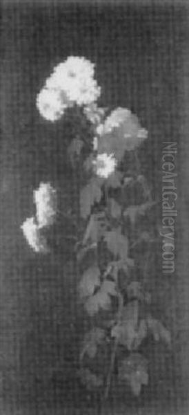 Daisies Oil Painting by Walter Gay