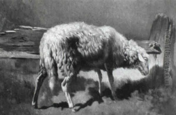 Schaf Am Holzernen Zaun Oil Painting by Otto Friedrich Gebler