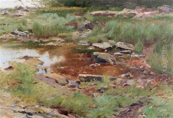 Sommarlandskap Med Vatten Oil Painting by Wilhelm von Gegerfelt