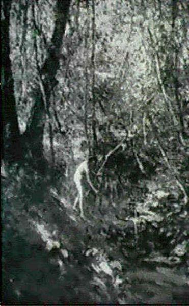 Bather Beside A Woodland Stream Oil Painting by Lillian M. Genth