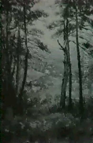 A View Through The Clearing Oil Painting by Lillian M. Genth