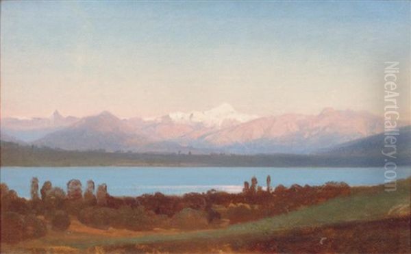 Le Leman Et Les Alpes De Savoie Depuis Genthod Oil Painting by Jean Philippe George-Julliard