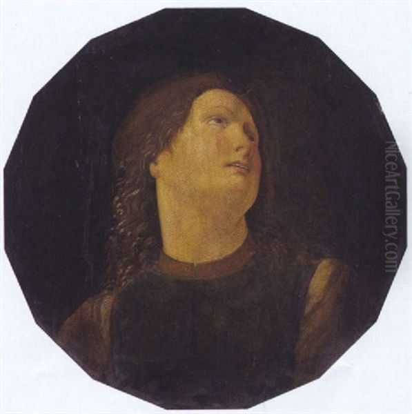 Ritratto Di Un Giovane Oil Painting by Ghirlandaio Domenico