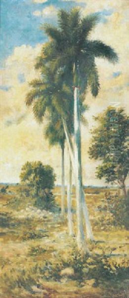 Untitled (palm Trees) Oil Painting by Juan Gil Garca