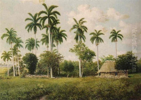 Paisaje Con Palmeras Oil Painting by Juan Gil Garca