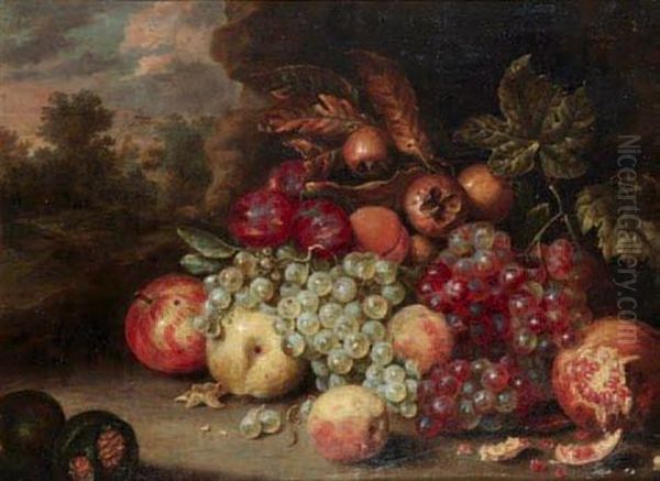 Nature Morte Aux Raisins, Pommes Et Grenades Oil Painting by Jan Pauwel Gillemans The Elder