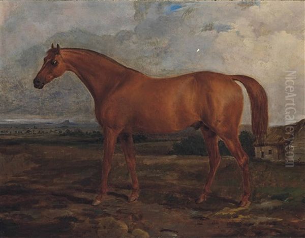 Lord Grosvenor's Chestnut Colt Meteor Oil Painting by Sawrey Gilpin