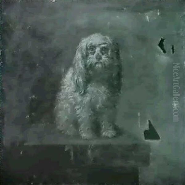 A Tibetan Spaniel Owned By Sir George Wombwell Bt. Oil Painting by Sawrey Gilpin