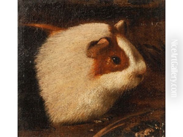 Head Of A Guinea Pig Oil Painting by Giovanni (Giovanni da Udine) Nanni (Nani)