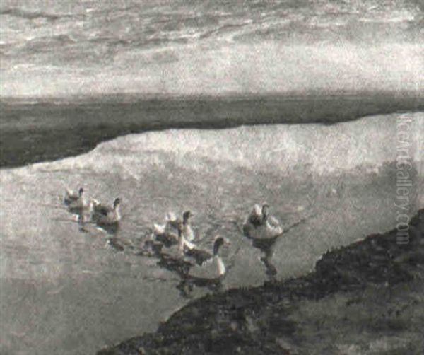 G,ss Pa Flommen, Sen Eftermiddag Oil Painting by William Gislander