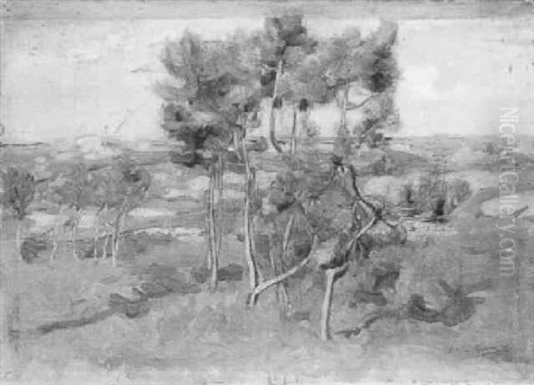 Landscape With Pines, South Of France Oil Painting by Wilfred Gabriel De Glehn