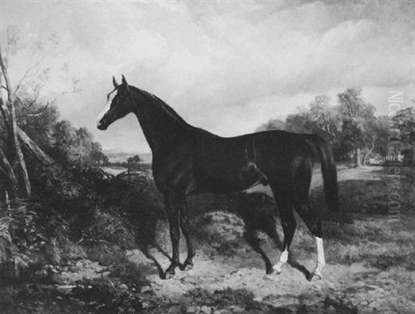 A Racehorse In A Landscape Oil Painting by George Bouverie Goddard