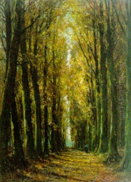 Beukendreef Met Wandelaar In De Herfst Oil Painting by Pieter Gorus