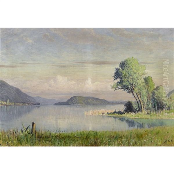 Bielersee Mit St. Petersinsel Oil Painting by Albert H. Gos