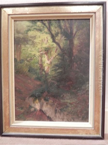Sous-bois Oil Painting by Albert H. Gos