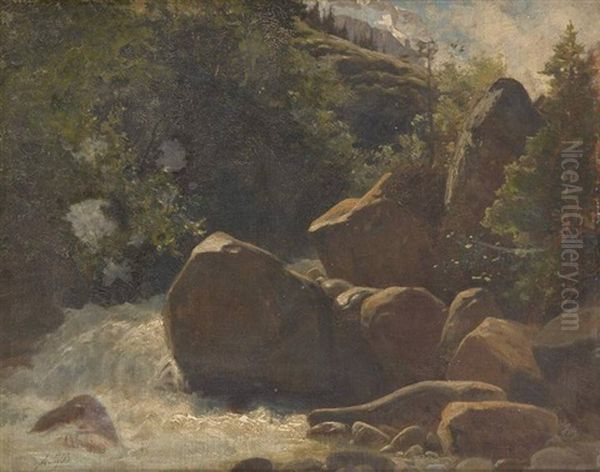 Cascade Dans Le Valais Oil Painting by Albert H. Gos