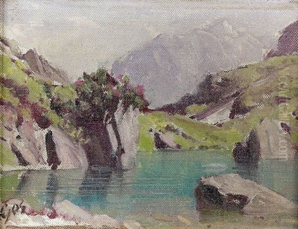 Sonnige Gebirgspartie Mit Kleinem See Oil Painting by Albert H. Gos