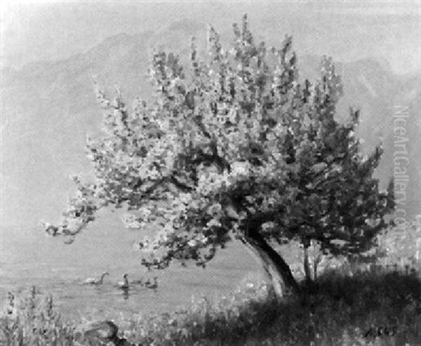 Bluhender Baum Am Ufer Des Genfersees Oil Painting by Albert H. Gos