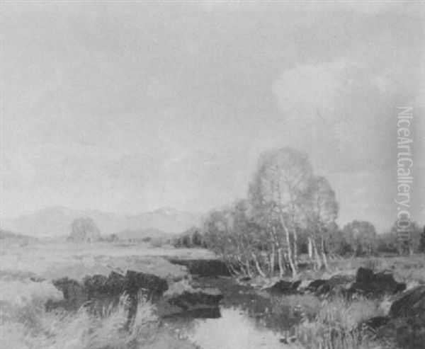 Mountainous Landscape With Pond Oil Painting by Albert H. Gos