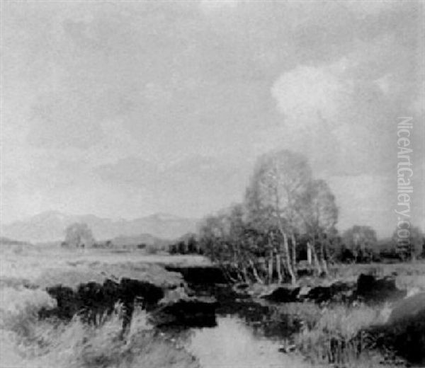 Mountainous Landscape With Pond Oil Painting by Albert H. Gos