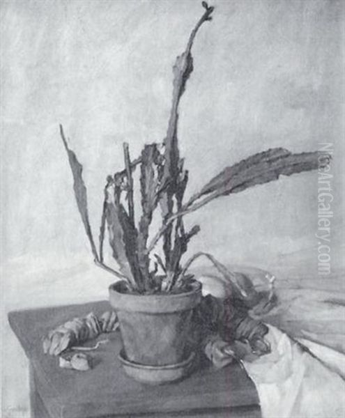 Stilleben Mit Kaktus Oil Painting by Otto Graeber