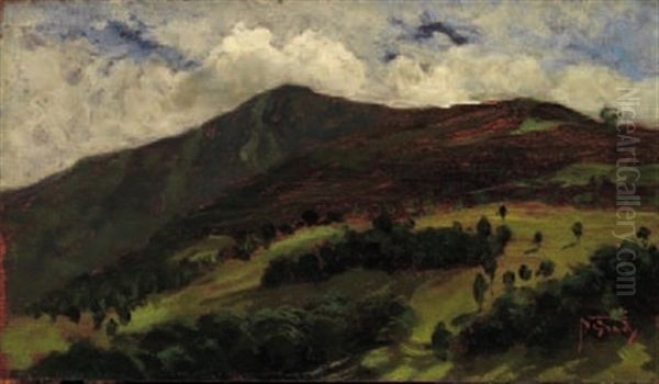 Paesaggio Oil Painting by Napoleone (Luigi) Grady