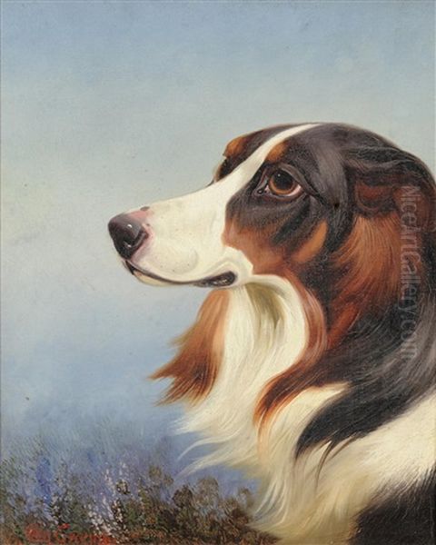 Head Study Of Collie Beside Heather Oil Painting by Colin Graeme