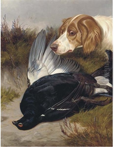 A Gundog With A Black Game Oil Painting by Colin Graeme