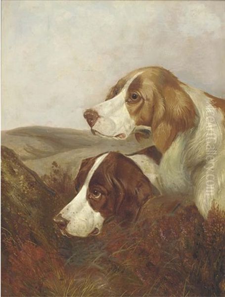 A Brace Of Pointers Oil Painting by Colin Graeme
