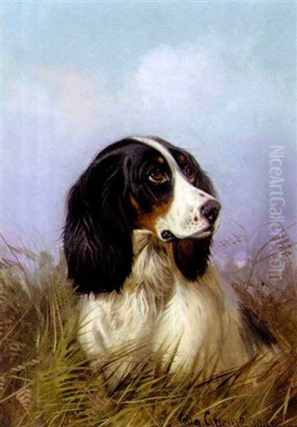 A Black And White Setter Oil Painting by Colin Graeme