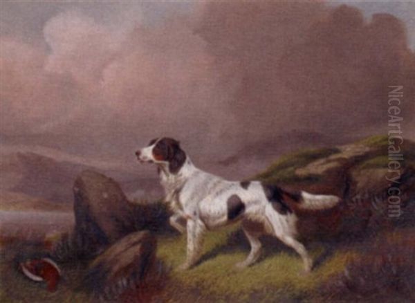 A Setter In A Moorland Landscape Oil Painting by Colin Graeme