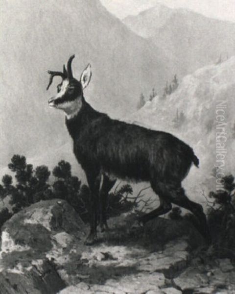 Gemse Mit Gebrochener Krucke Oil Painting by Otto Grashey