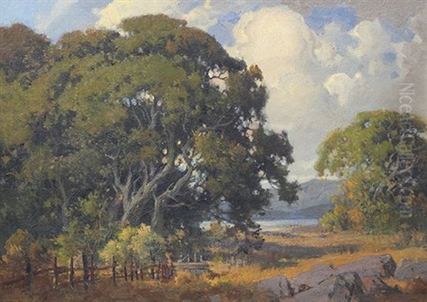 Marin Oaks Oil Painting by Percy Gray